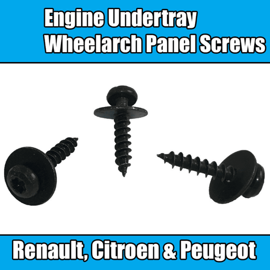 10 Engine Undertray Wheel Arch Screws for Renault Citroen Peugeot