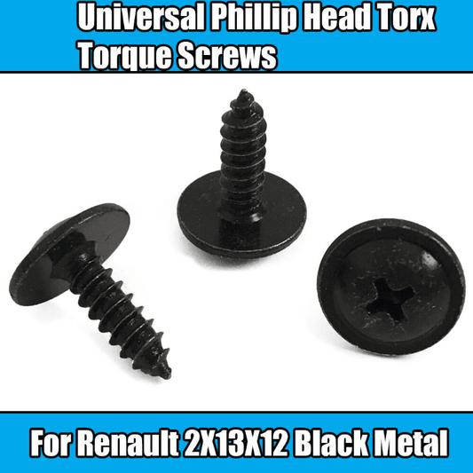 10x Universal Torx Screws for Renault 2X13X12 Philip Black Metal Torque Screw