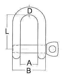 19mm A4 316 Stainless Steel D Shackle With Screw Pin Rigging Lock/19mm