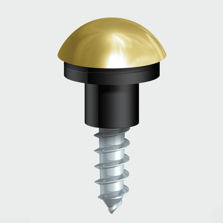 Wall Mirror Screws With Washer & Polished Brass Domed Caps